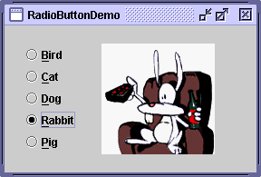 RadioButtonDemo